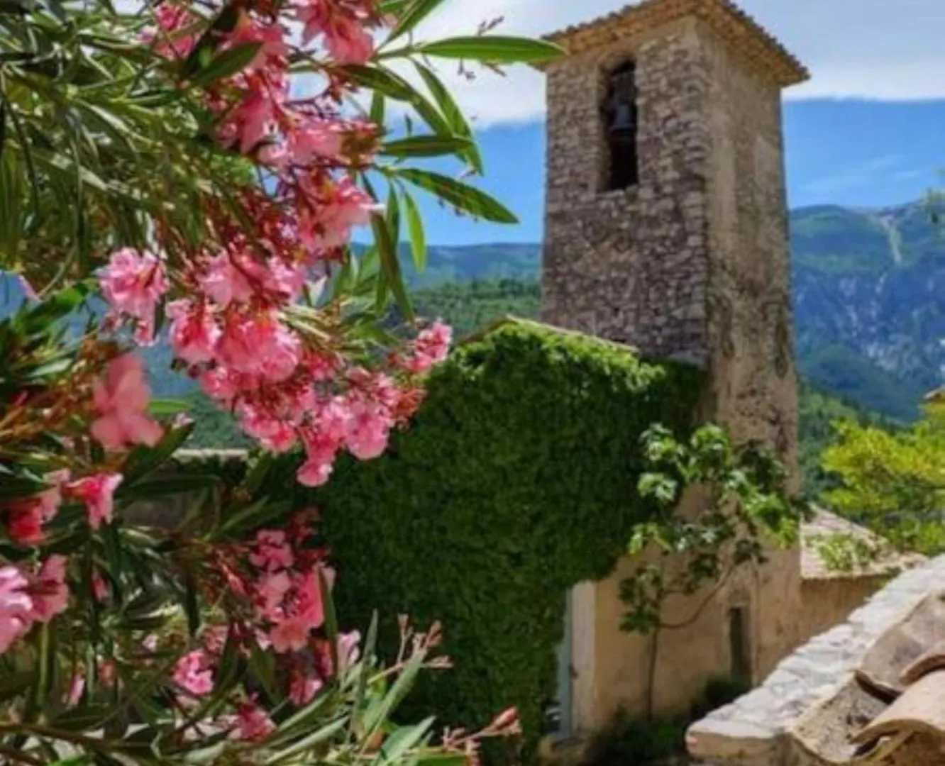 Les Dentelles Du Ventoux - Gite Avec Piscine Aubignan Holiday home