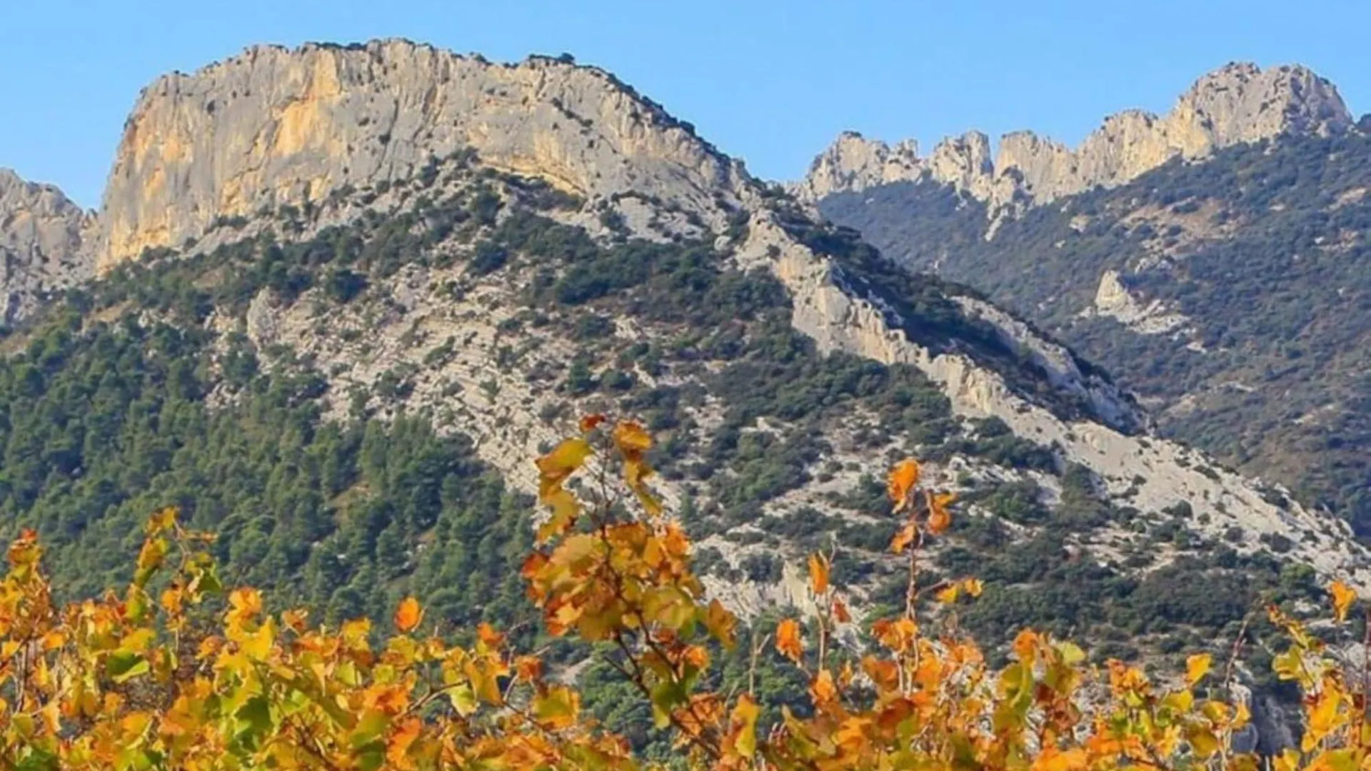 Les Dentelles Du Ventoux - Gite Avec Piscine Aubignan 0*,