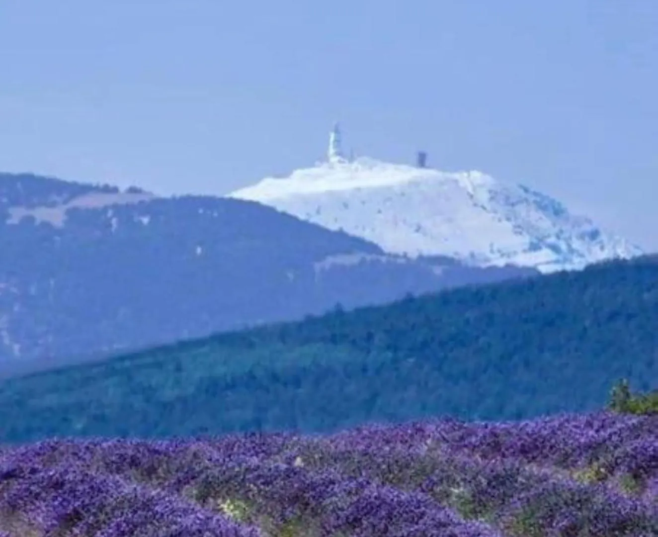 Les Dentelles Du Ventoux - Gite Avec Piscine Aubignan