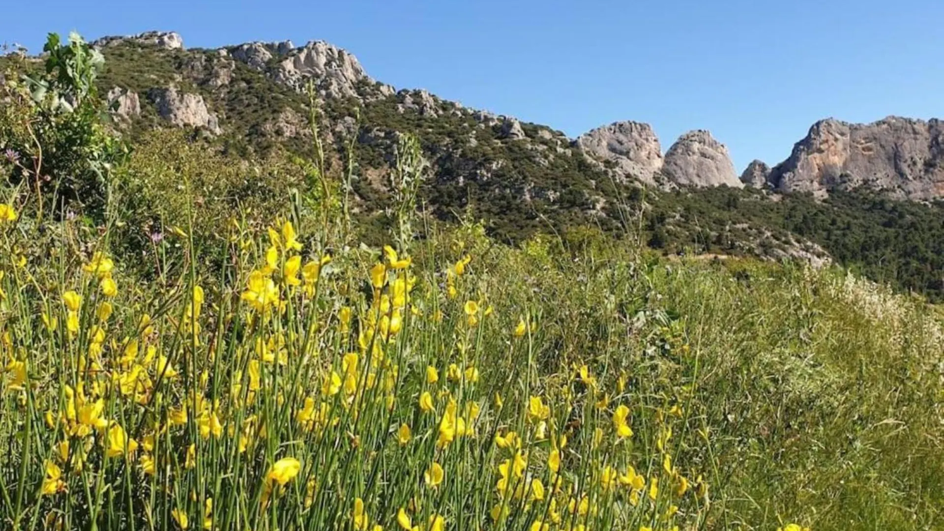 Les Dentelles Du Ventoux - Gite Avec Piscine Aubignan